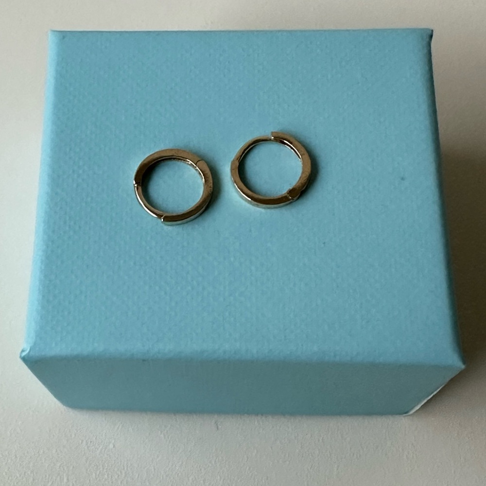 Ariel Gordon 14K Gold Petite Hoops